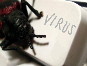 how to prevent virus